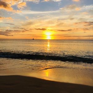 Meet your Posher, Isabella